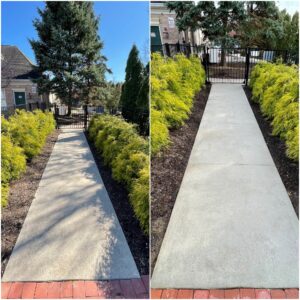 A photo of the before and after of a concrete pathway cleaned by Oddly Satisfying Pressure Washing