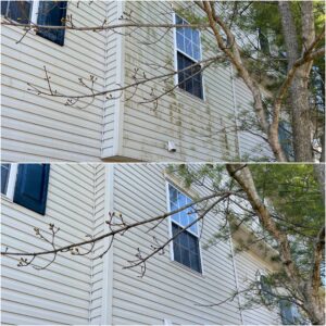 The before and after of vinyl siding cleaning done by Oddly Satisfying Pressure Washing