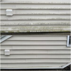 Vinyl siding cleaning by Oddly Satisfying Pressure Washing
