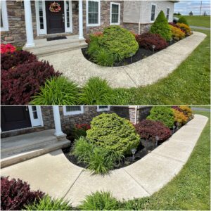 A concrete pathway pressure washed by Oddly Satisfying Pressure Washing