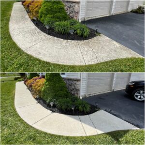 Before and after of a curved concrete walkway pressure washed by Oddly Satisfying Pressure Washing