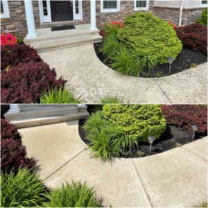 Curved concrete walkway pressure washed by Oddly Satisfying Pressure Washing