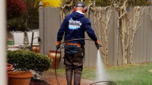 Oddly Satisfying Pressure Washing employee performing a patio cleaning
